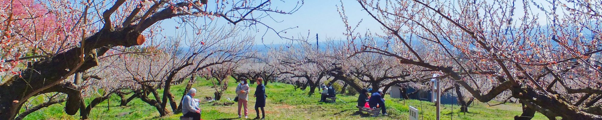 北軽井沢に滞在して観光・体験する