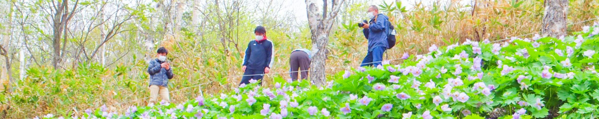 北軽井沢に滞在して観光・体験する