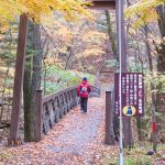 軽井沢紅葉狩りハイキング<br> 旧碓氷峠遊覧歩道を歩く。