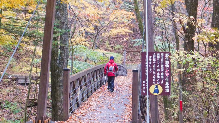 軽井沢紅葉狩りハイキング<br> 旧碓氷峠遊覧歩道を歩く。