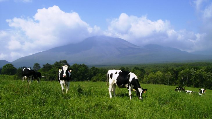 浅間牧場(北軽井沢)
